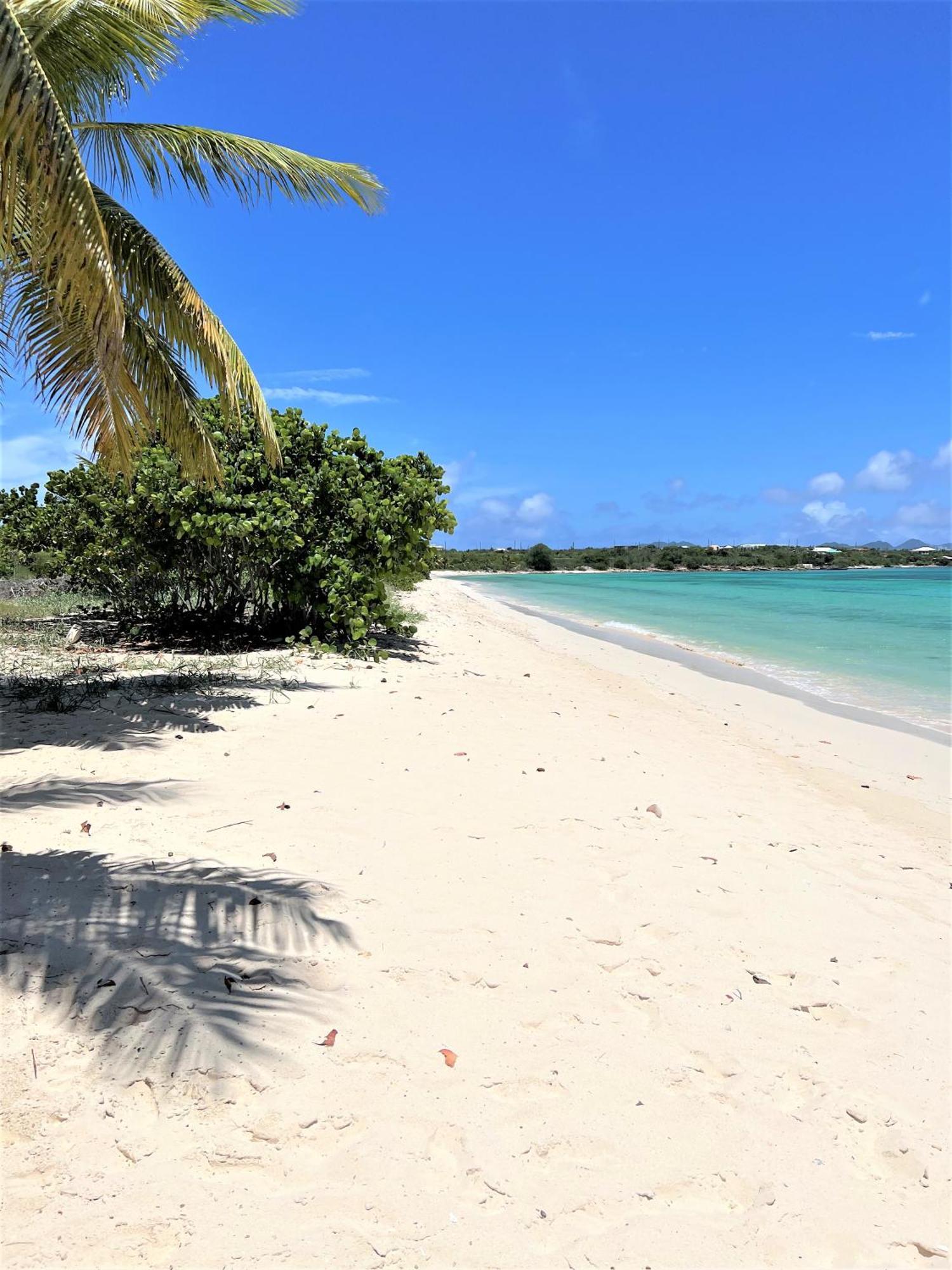 Rendezvous Bay Hotel Lower South Hill Bagian luar foto
